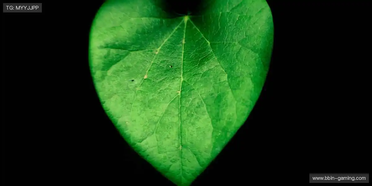 汗水见证成长!📈✨坚持 30 天,蜕变看得见!